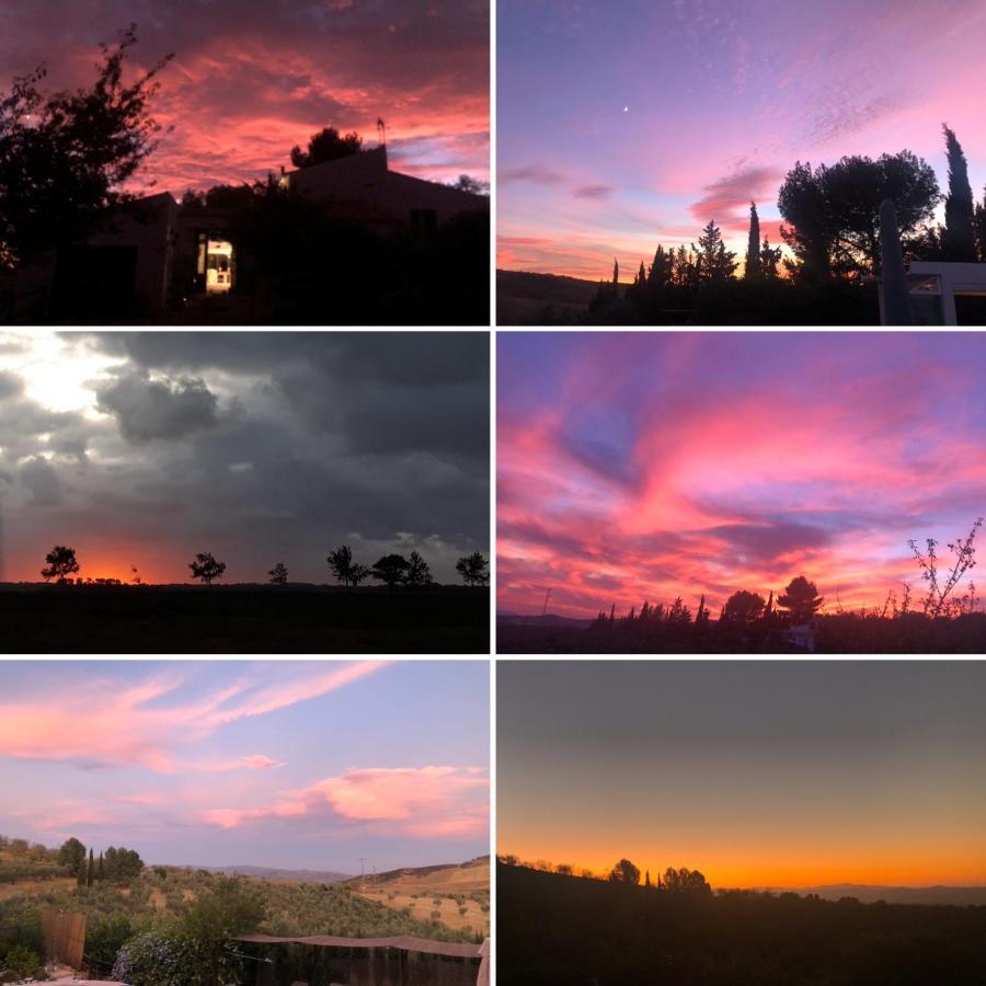Finca Amorosa Villanueva de la Concepción 外观 照片