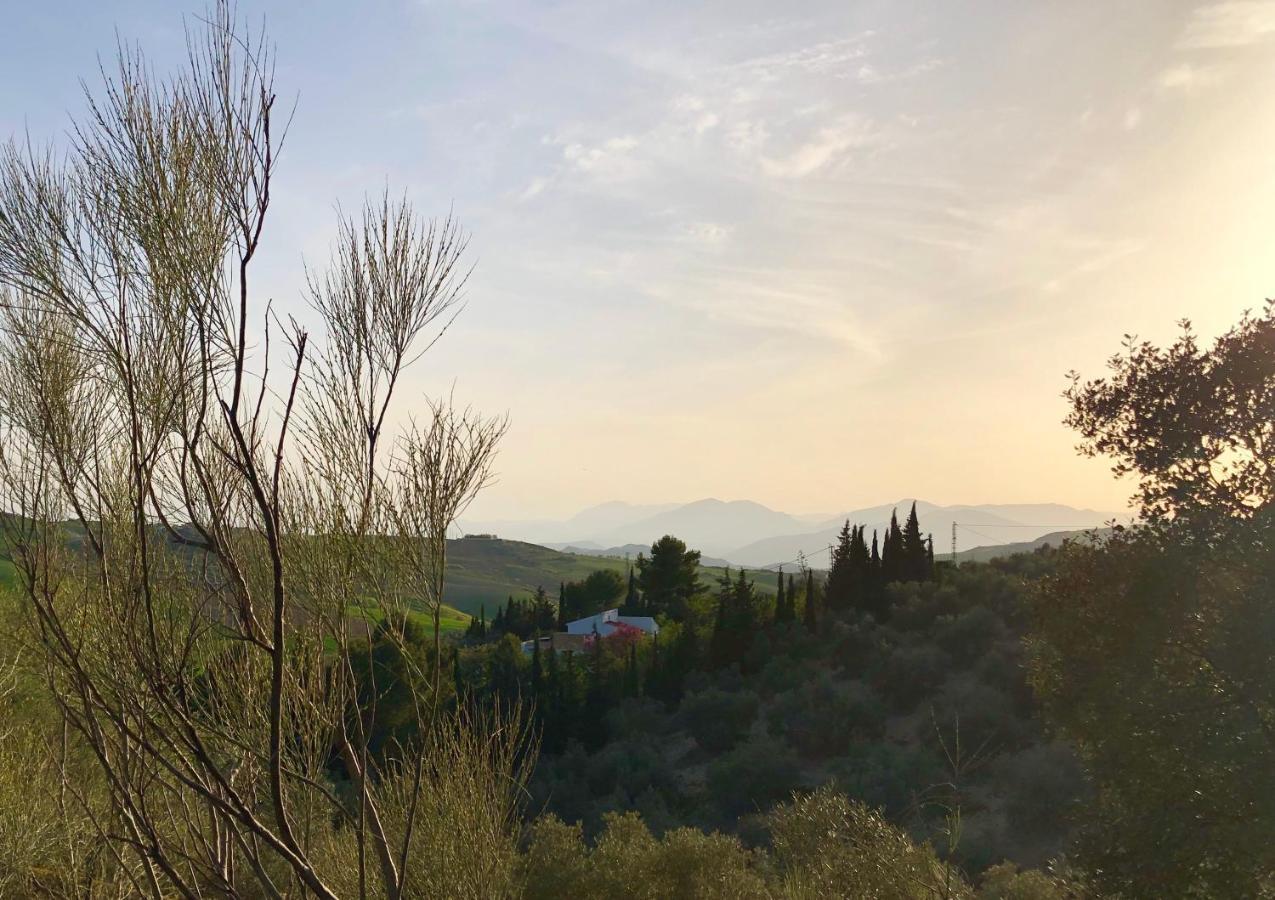 Finca Amorosa Villanueva de la Concepción 外观 照片