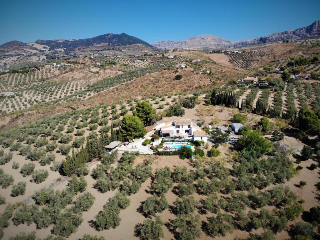 Finca Amorosa Villanueva de la Concepción 外观 照片